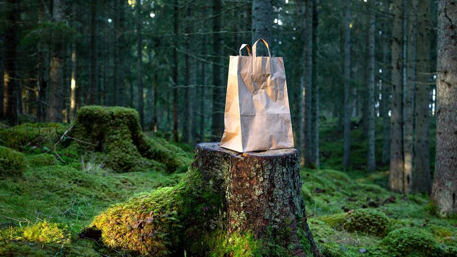 papperskasse på en stubbe i skogen