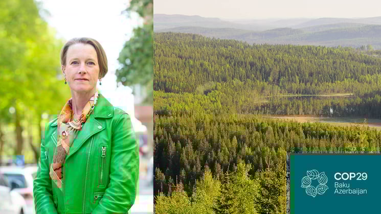 viveka beckeman, skog och logotyp för cop29