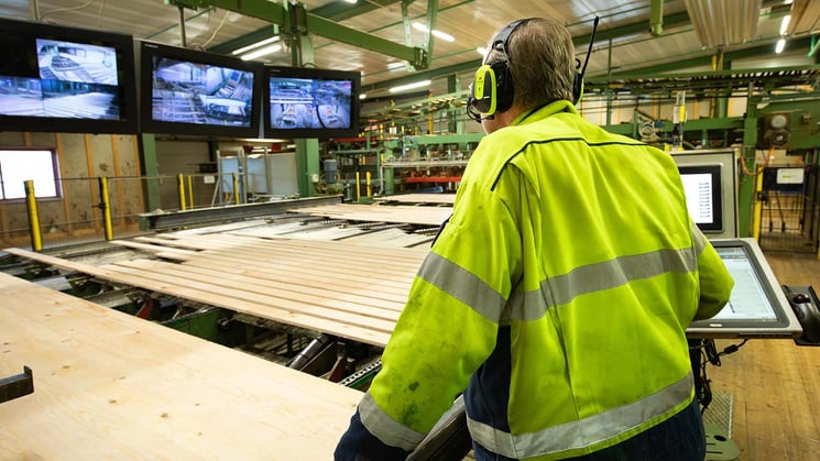 man kontrollerar träprodukter i sågverk