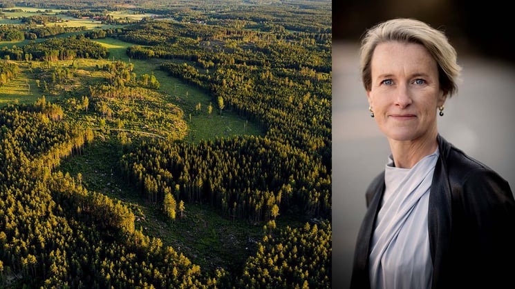 Flygbild över skog och viveka beckeman