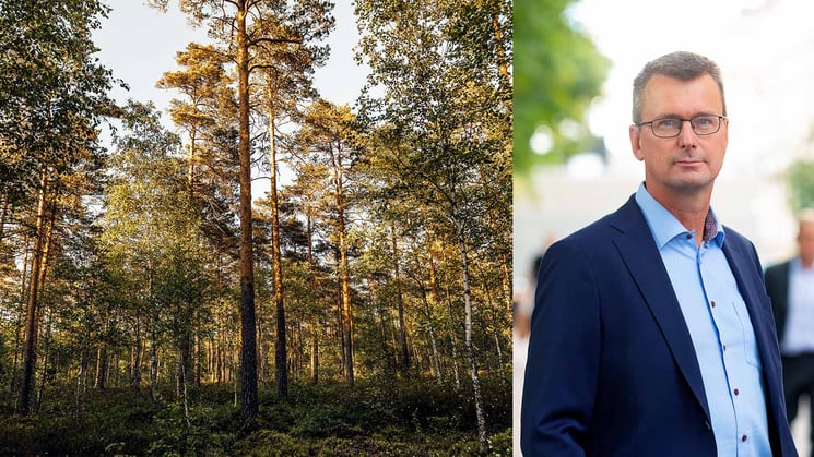 skog och magnus berg