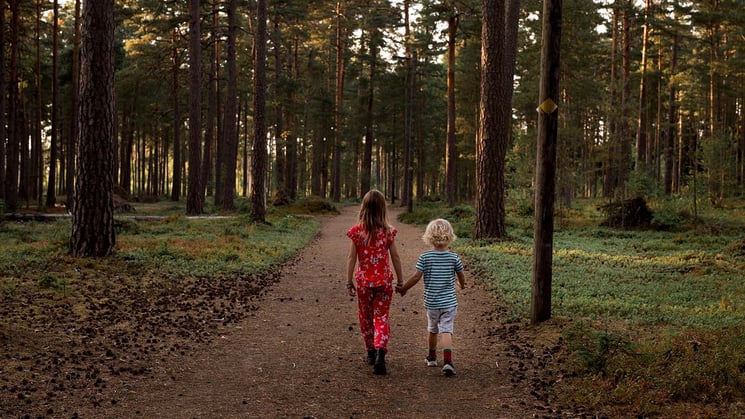 barn i skog