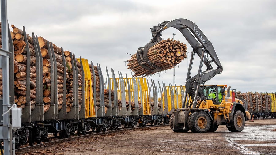 lastning av timmer på tåg i kjula logistikpark