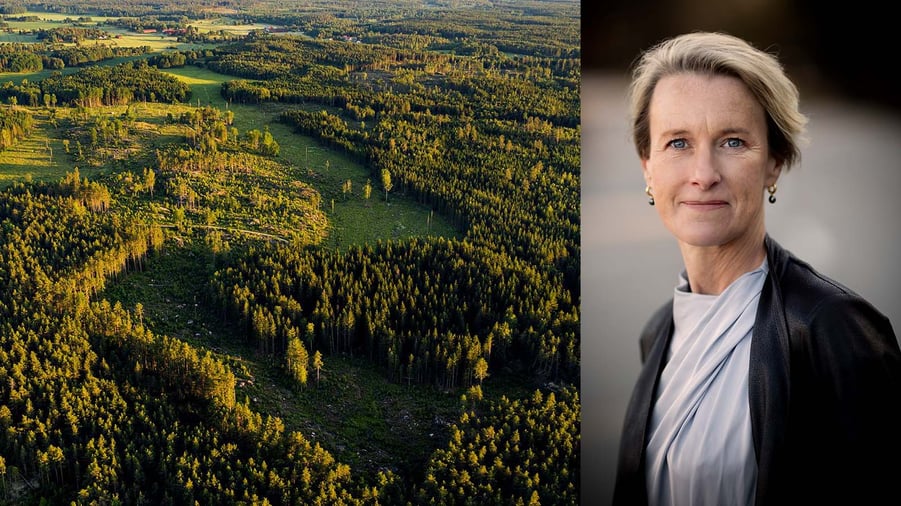 Flygbild över skog och viveka beckeman