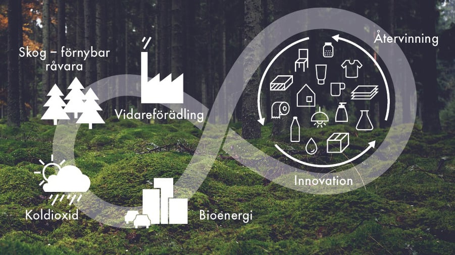 illustration över hur skogsråvaran rör sig i ett cirkulärt system