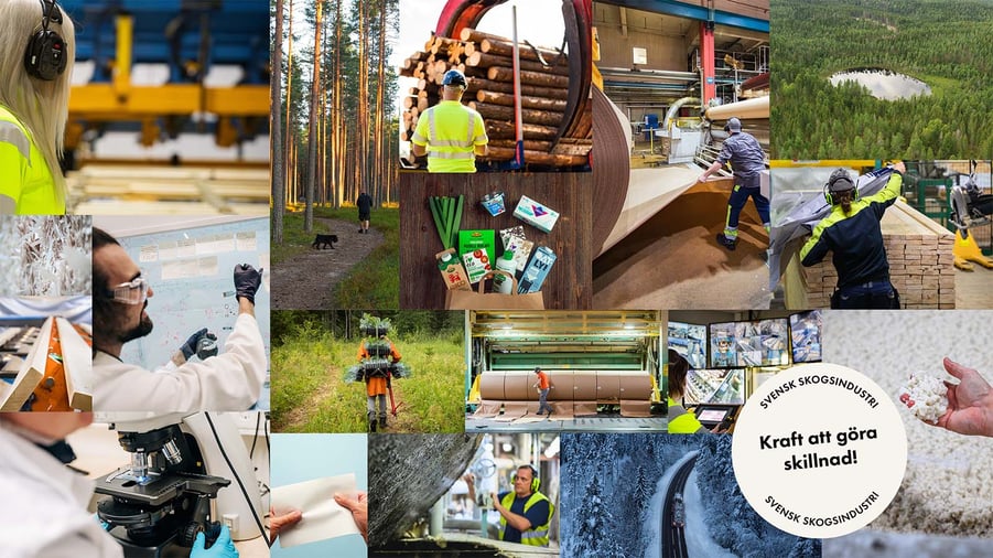 kollage med bilder från svensk skogsindustri