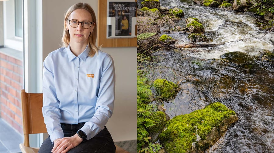 Kollage med Satu Aguilar från Norra skog och vattenvandringsled