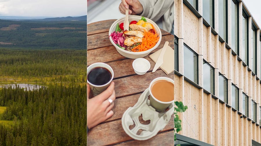 kollage med skog, engångsprodukter i pappersmassa och sara kulturhus