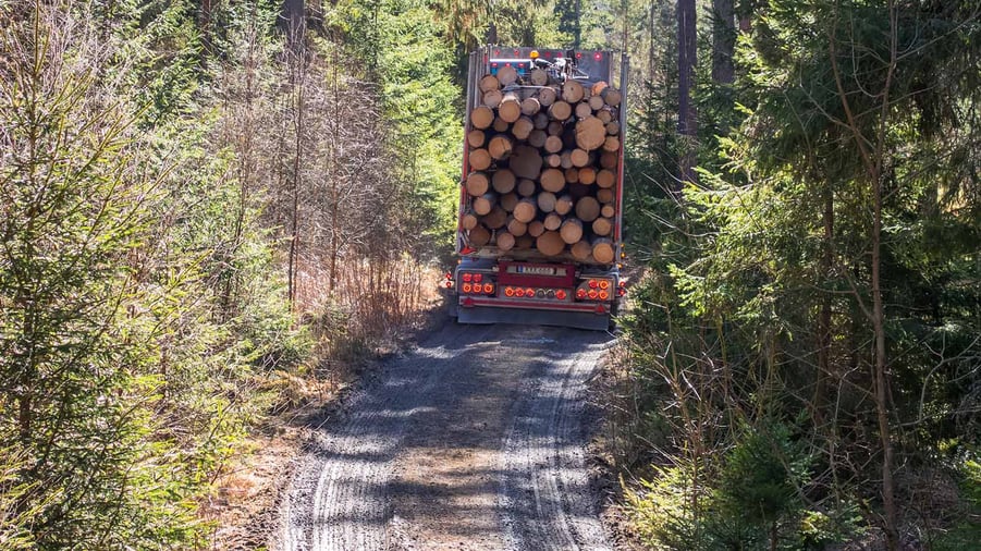 timmerbil i skogen