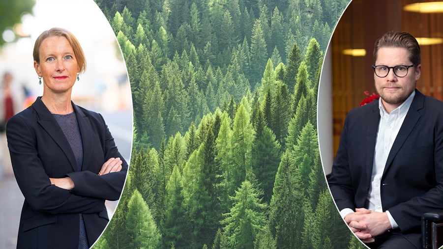 viveka beckeman, mårten o larsson och skog