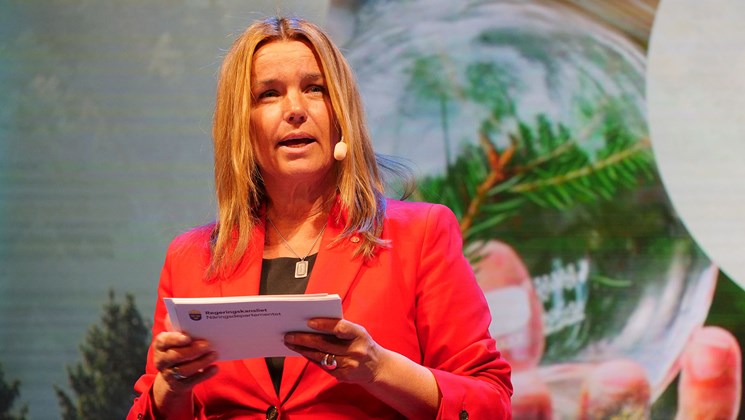 anna-caren sätherberg