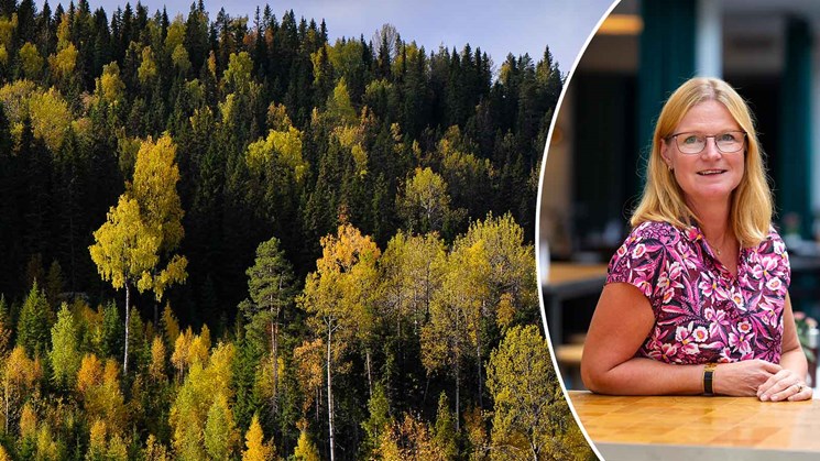 linda eriksson och en höstskog