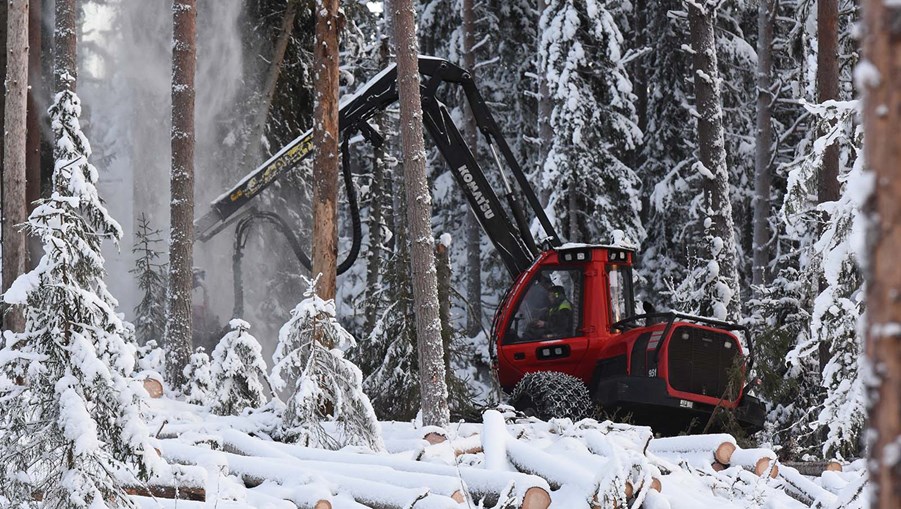 röd skördare i skogen under vintern