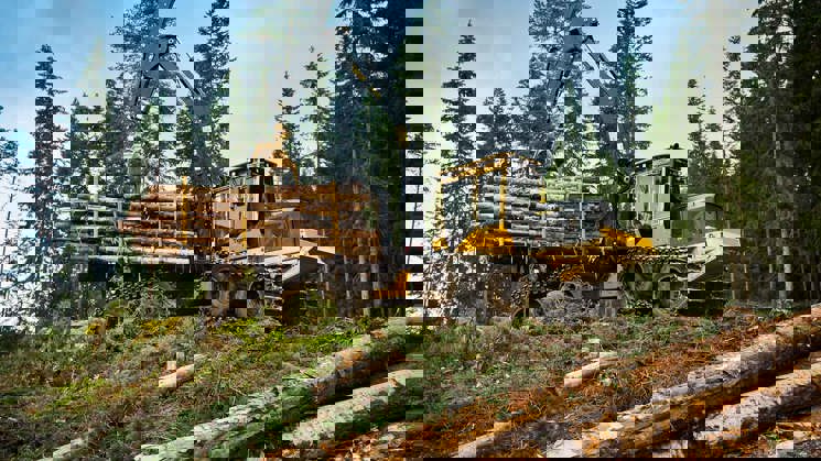 gul skördare i skogen