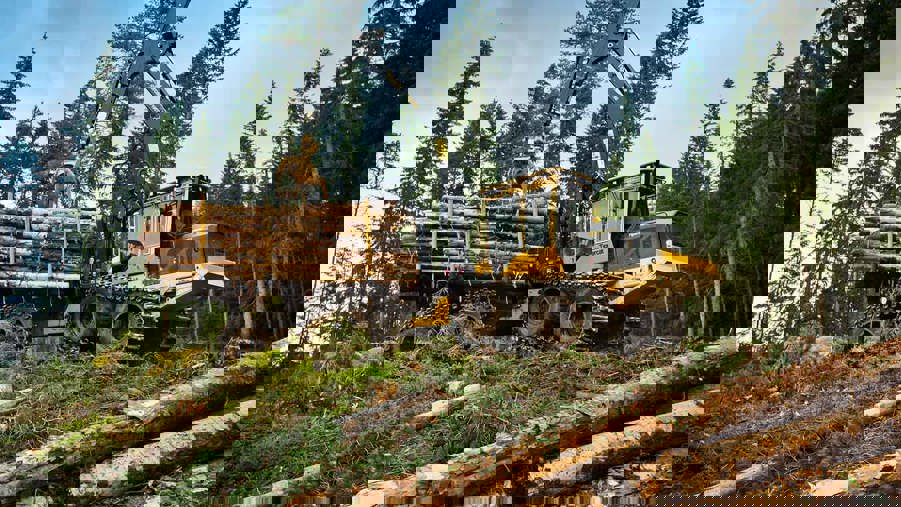 gul skördare i skogen