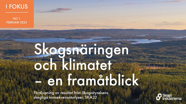 i fokus-rapport