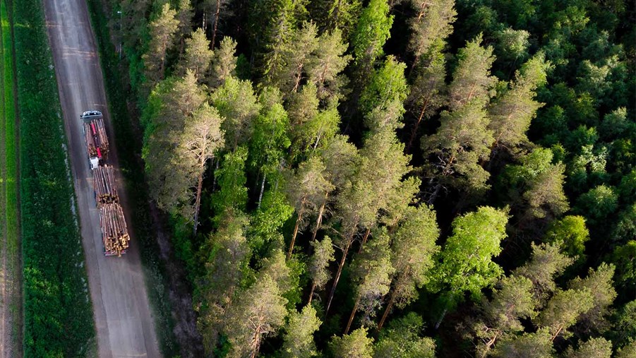 lastbil åker genom skog