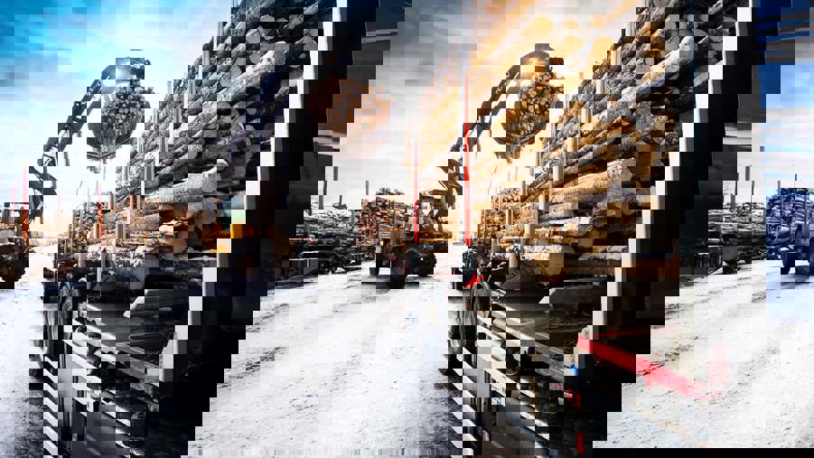 timmerlastbil lastas