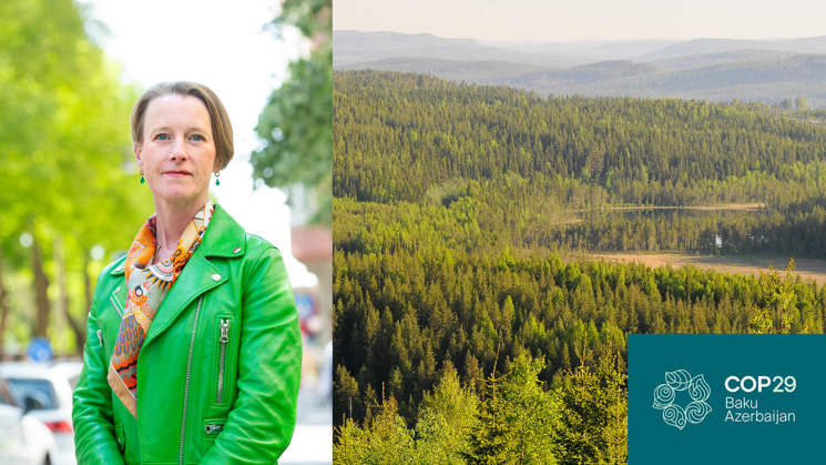viveka beckeman, skog och logotyp för cop29
