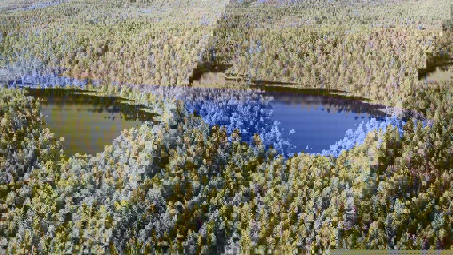 flygfoto över skog och sjö