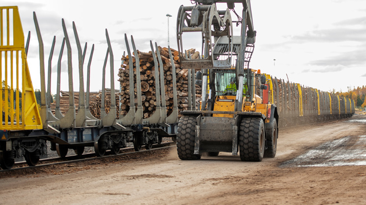 lastning timmertransport på järnväg