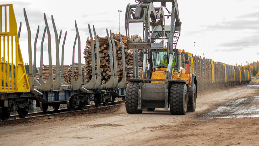 lastning timmertransport på järnväg