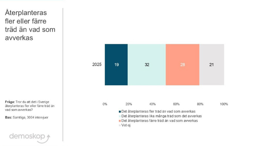 demoskopundersökning som visar svenskarnas kunskap om återplantering av skog