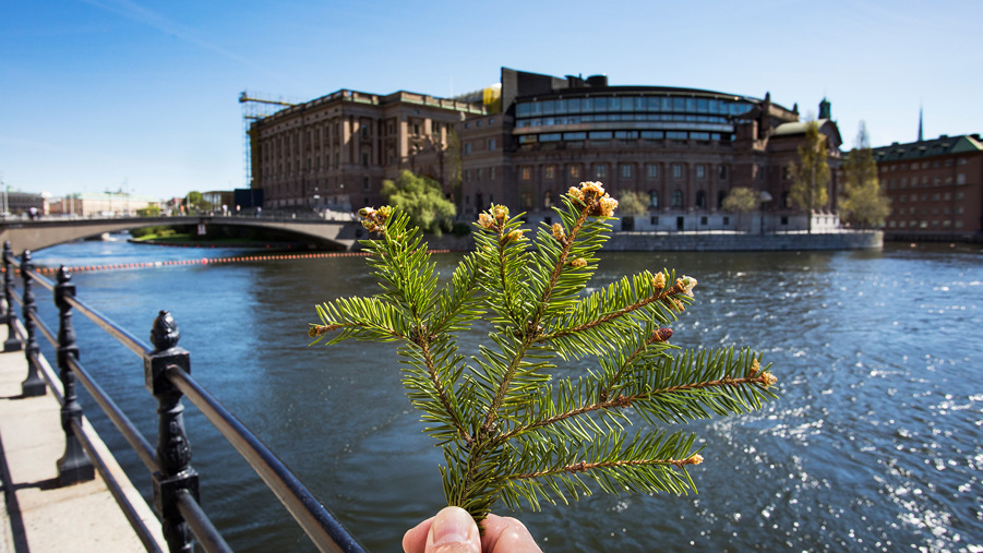 barrkvist framför sveriges riksdag
