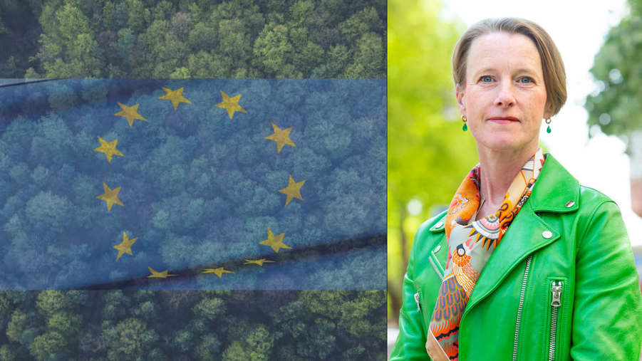Viveka Beckeman och skog med eu-flagga