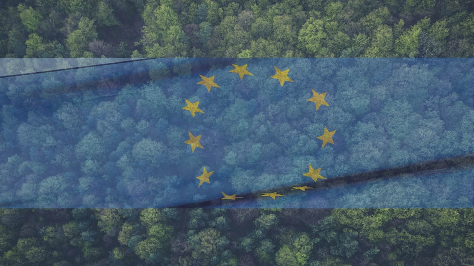 The political game undermines the trust for EU biomass sustainability ...