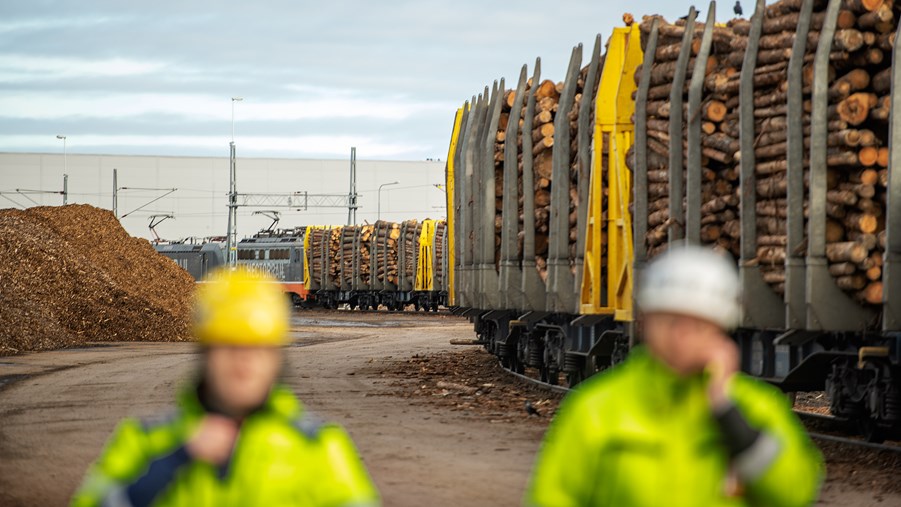 lastning av timmer för transport