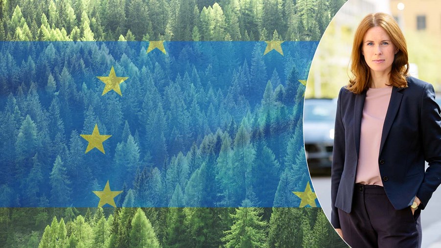 emma berglund, eu flagga och skog