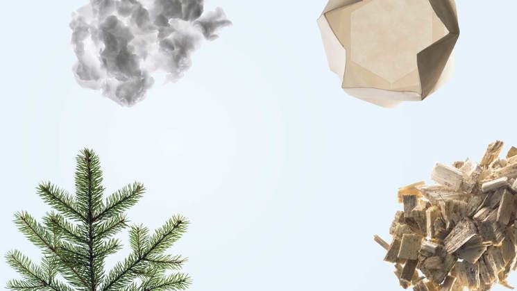 tallkvist, pappersmuskel, pappersmassa och flis på blå bakgrund