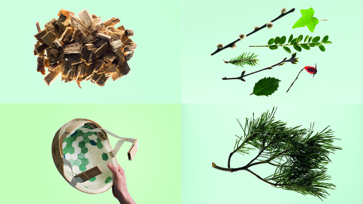 flis, blandade kvistar, trähjälm och tallkvist på grön bakgrund