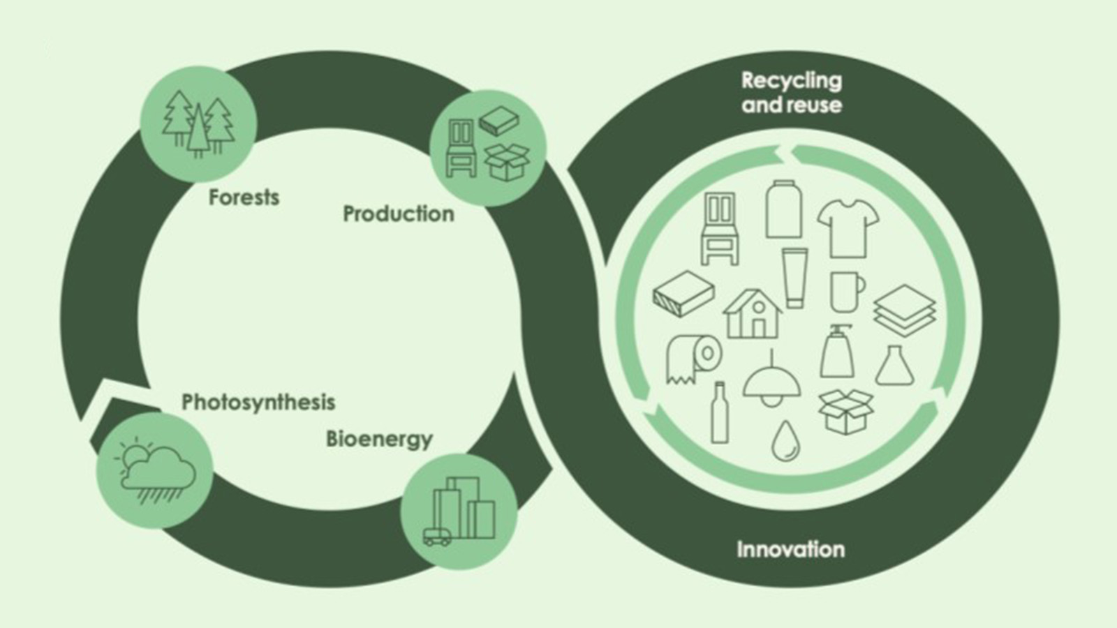 This is circular economy in the Swedish forest sector - Swedish Forest ...