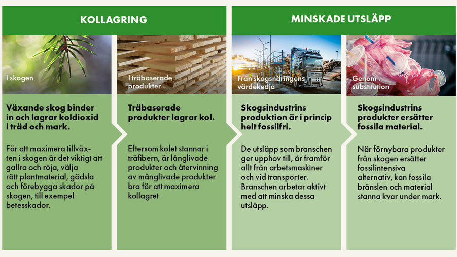 ISO-standard 13391 som ger företag och organisationer ett komplett sätt att bedöma och rapportera klimatnyttan med träbaserade produkter.