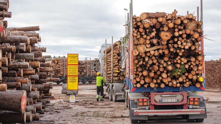timmerbil som lastas med timmer