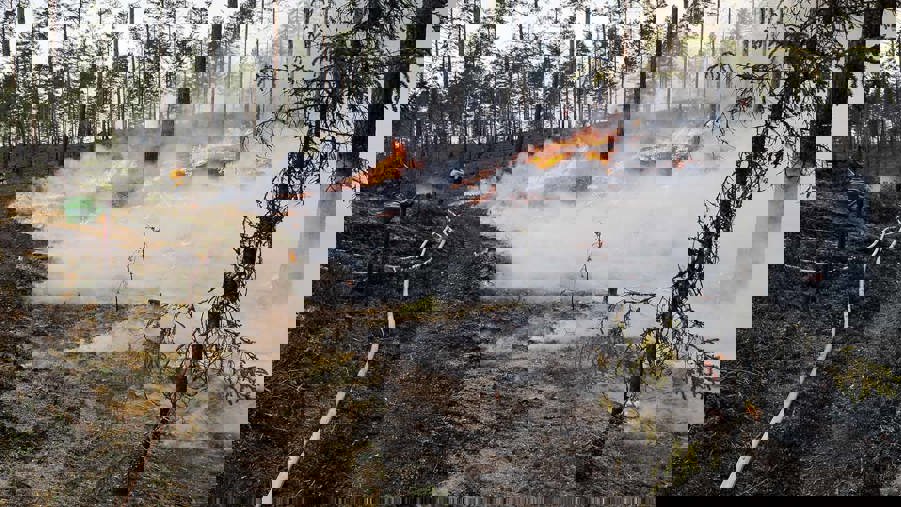 Naturvårdsbränning