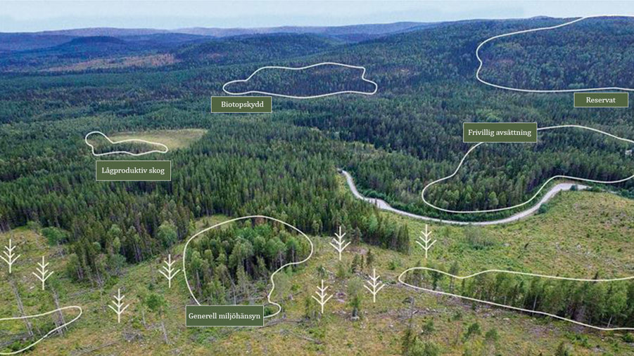 undantagen mark på ett trakthygge
