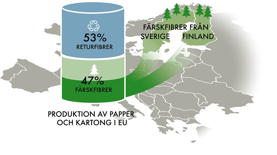 illustration över hur färskfiber transporteras i europa