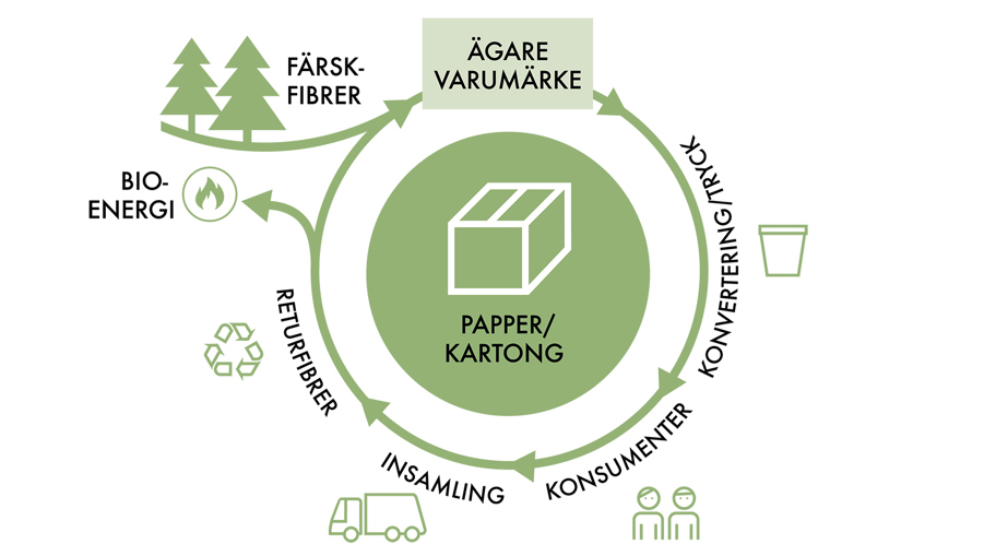 illustration som visar en papperskartongs kretslopp