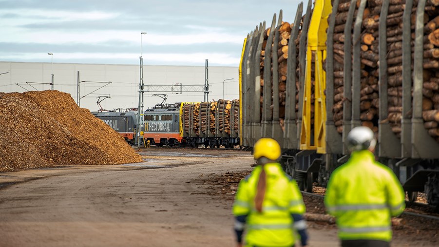 lastning av timmer för transport