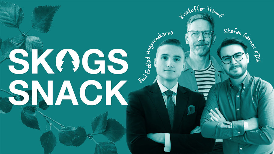 Skogssnack – KDU + Ungsvenskarna: ”Man får en annan känsla när man bygger i trä”