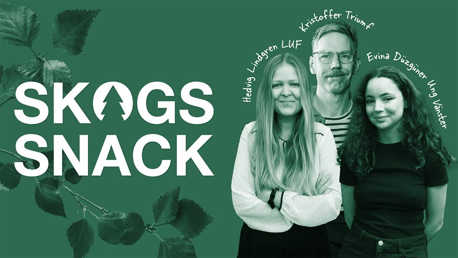 Skogssnack – LUF + Ung Vänster: “Innovation i trä är en bra idé”