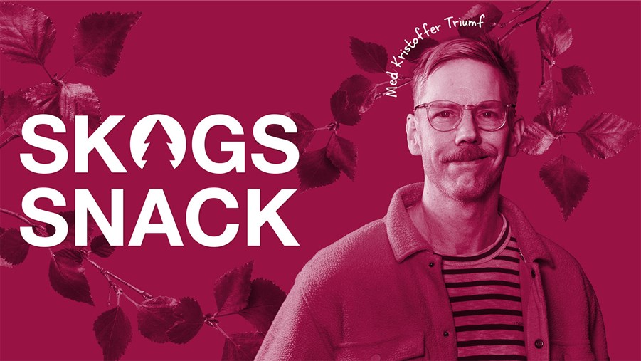 Skogssnack – Epilog: Vad kan branschen ta med sig?