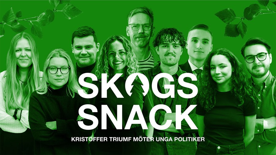 Skogssnack – Prolog: Crash course i skogen