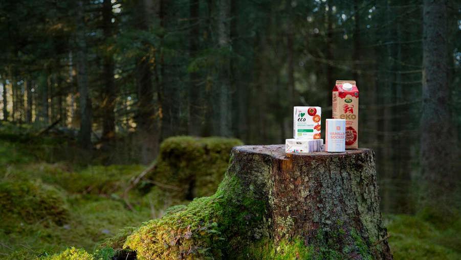 matförpackningar står på en stubbe i skogen