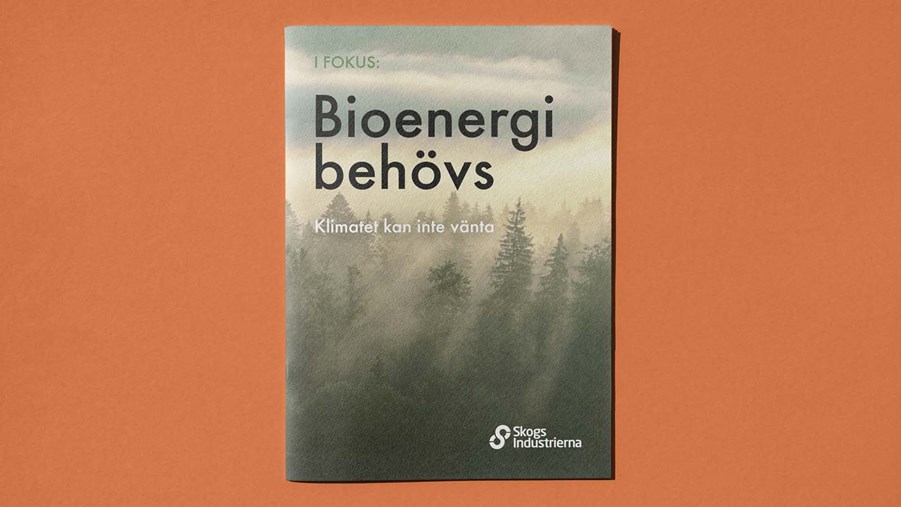 i fokus-rapport