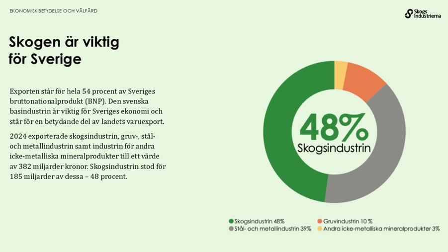 Skogen är viktig för Sverige. Exporten står för 54 procent av Sveriges BNP.