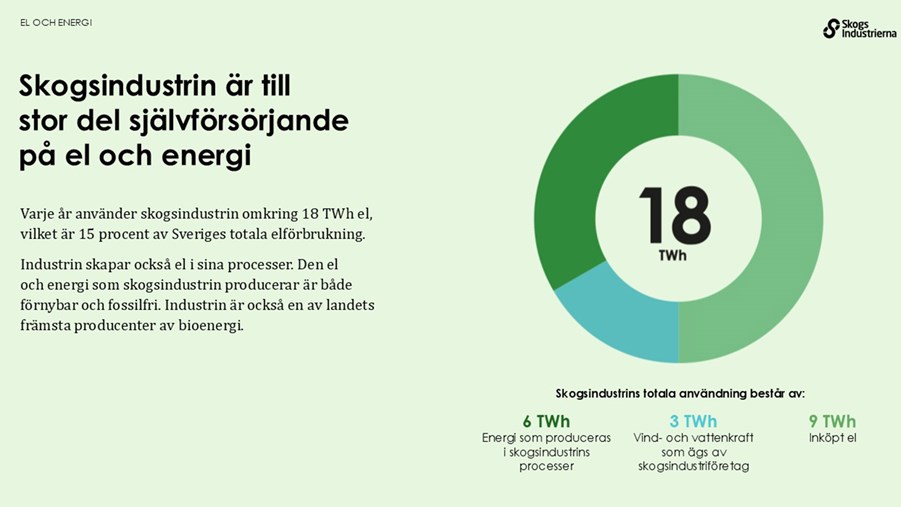 Skogsindustrin är till stor del självförsörjande. Varje år använder skogsindustrin omkring 18 TWh el.